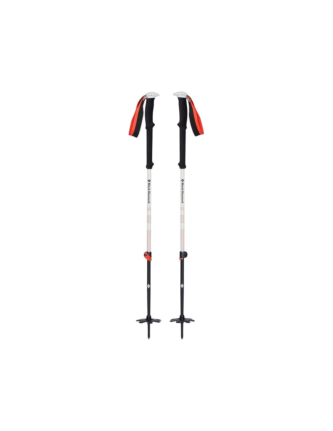 EXPEDITION 2 SKI POLES