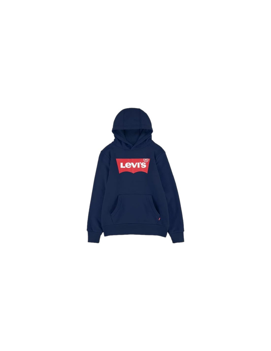 LVB-BATWING SCREENPRINT HOODIE