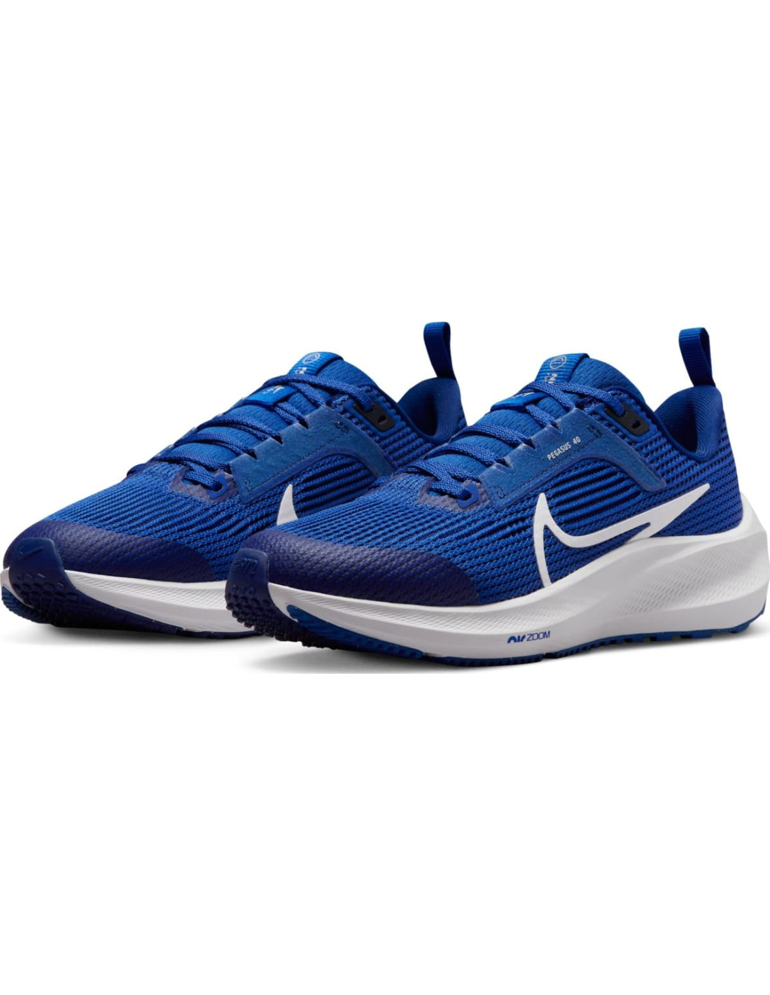 NIKE AIR ZOOM PEGASUS 40 BIG K