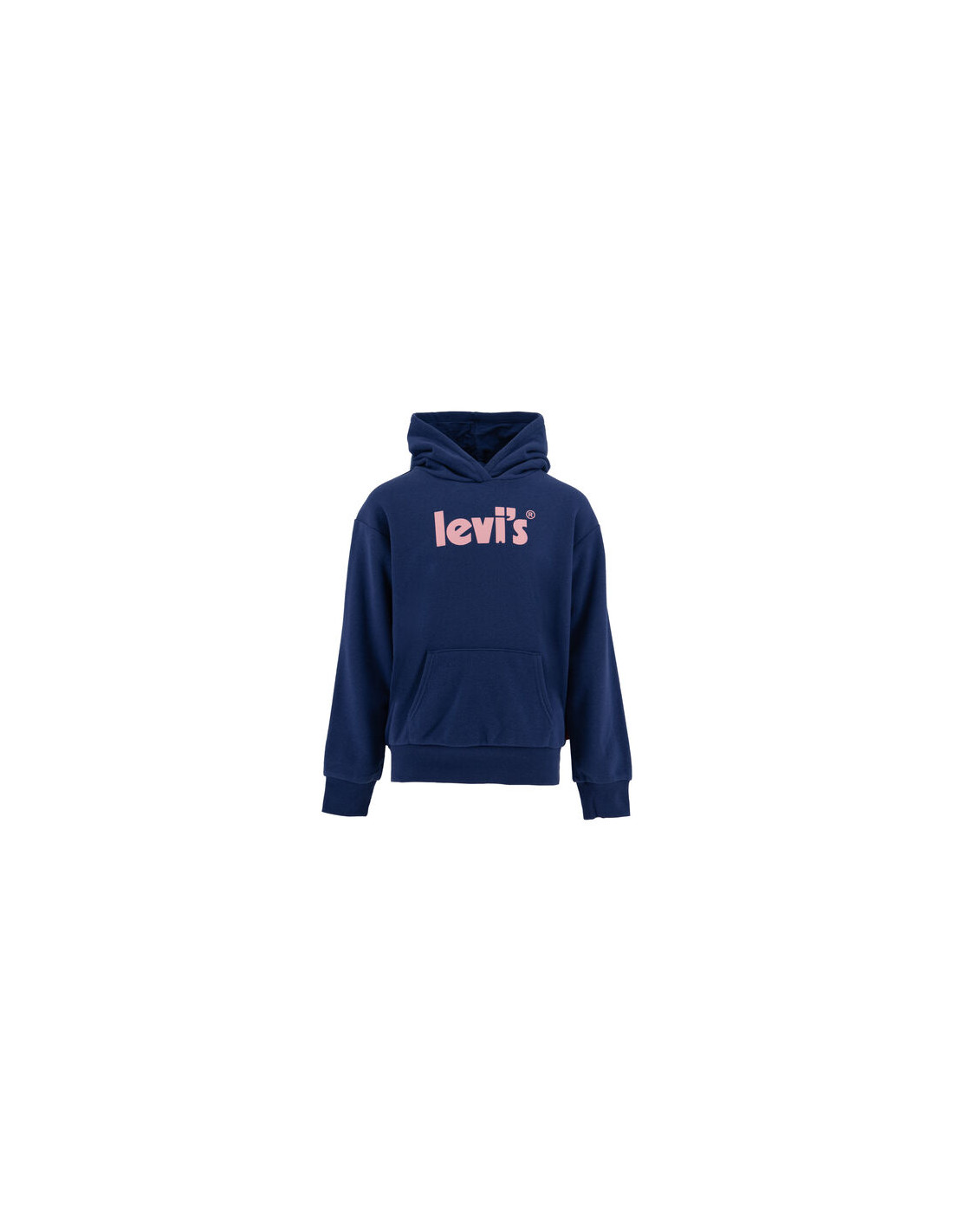 LVG POSTER LOGO HOODIE