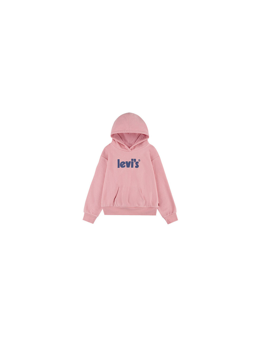 LVG POSTER LOGO HOODIE