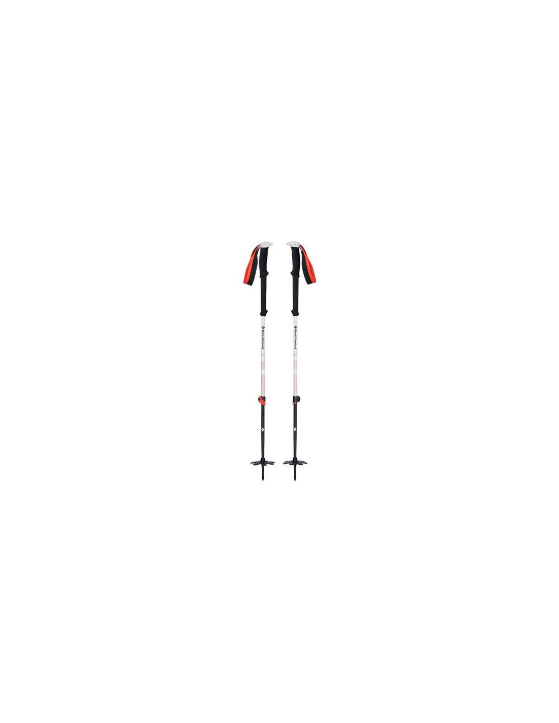 EXPEDITION 2 SKI POLES