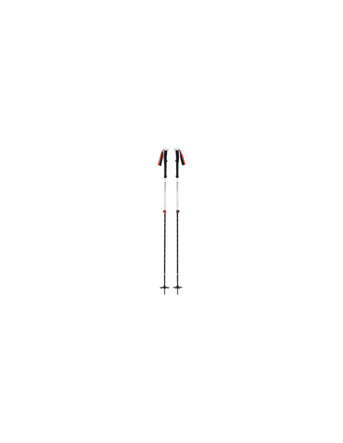 EXPEDITION 2 SKI POLES