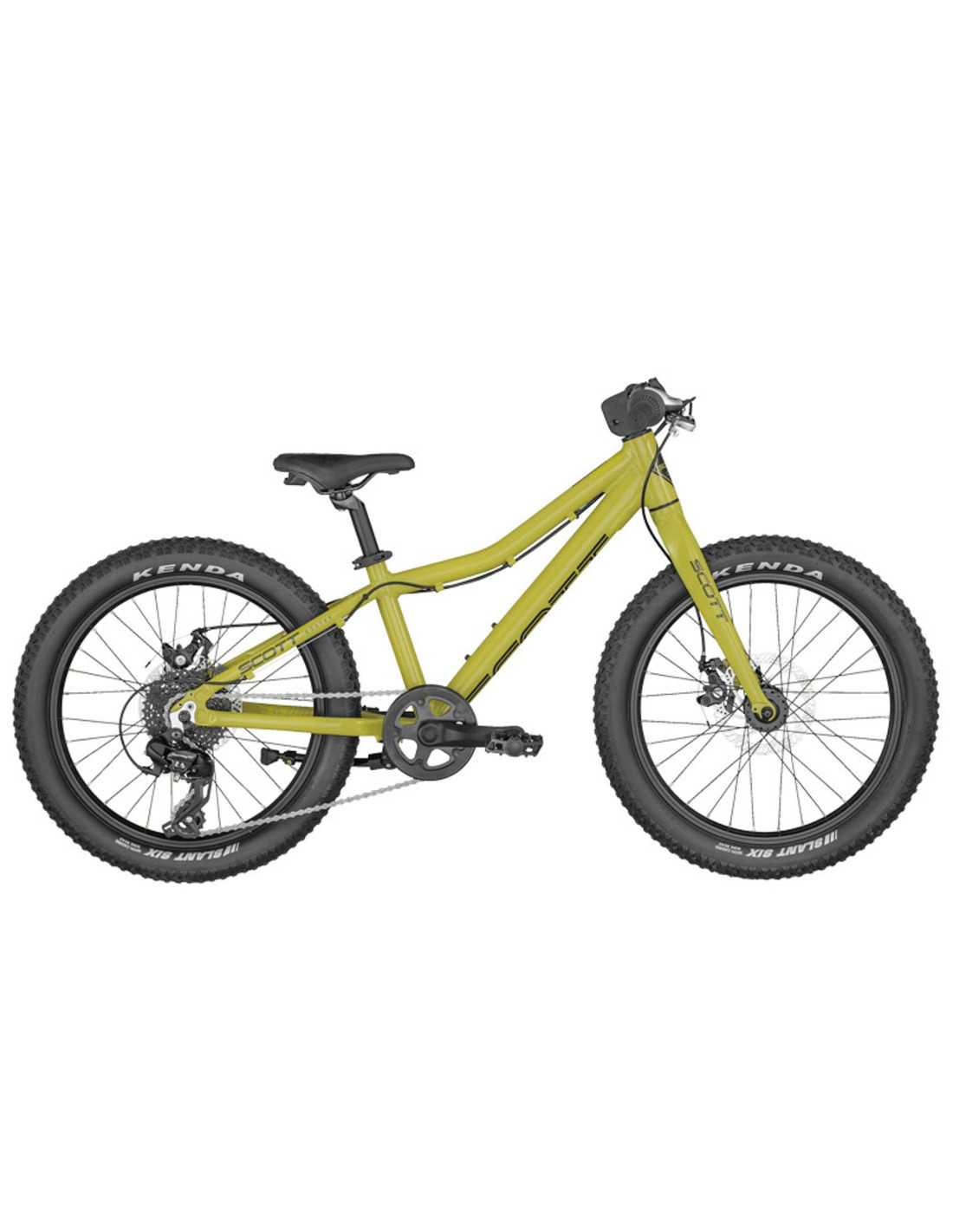 BICICLETA ROXTER 20 GREEN