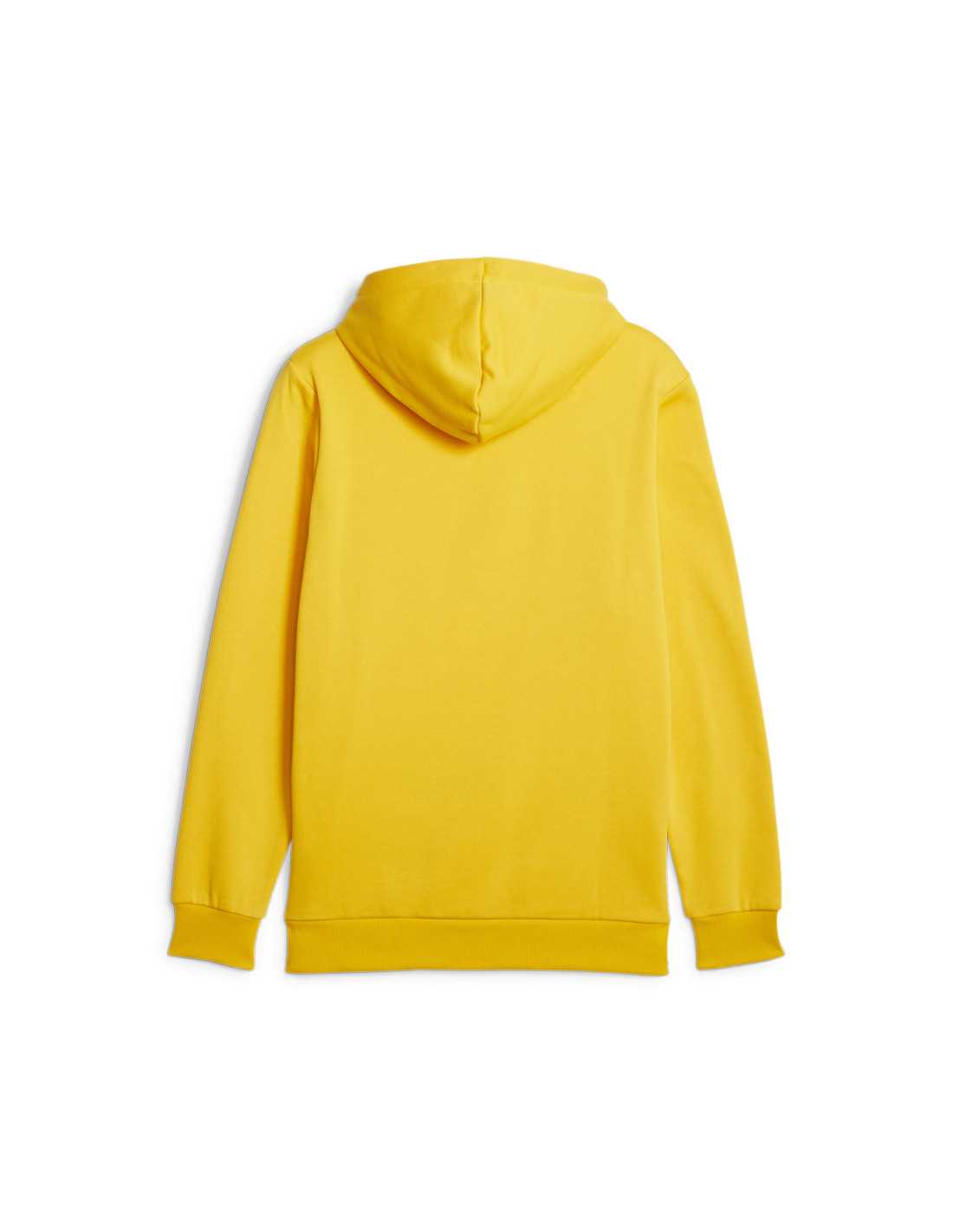 ESS+ 2 COL BIG LOGO HOODIE FL