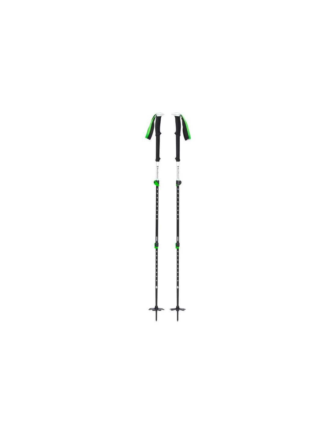 EXPEDITION 3 SKI POLES