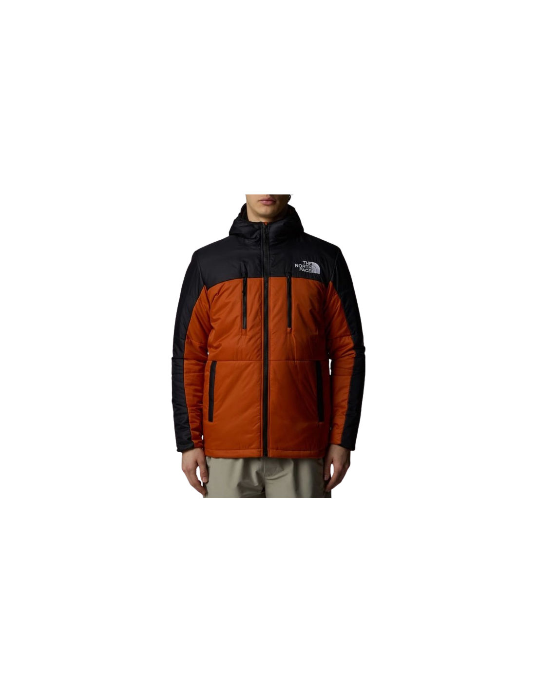 M HIMALAYAN LIGHT SYNTH HOODIE - EU