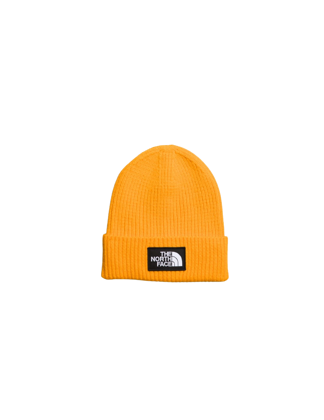 TNF LOGO BOX CUFFED BEANIE