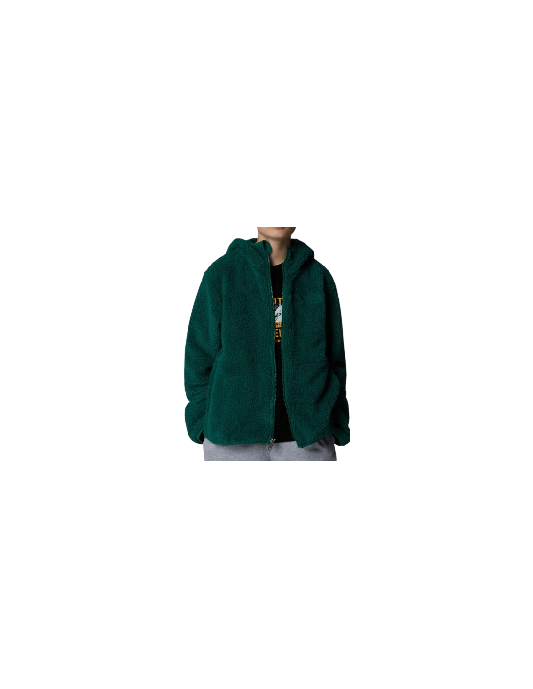 TEEN CAMPSHIRE FZ HOODIE