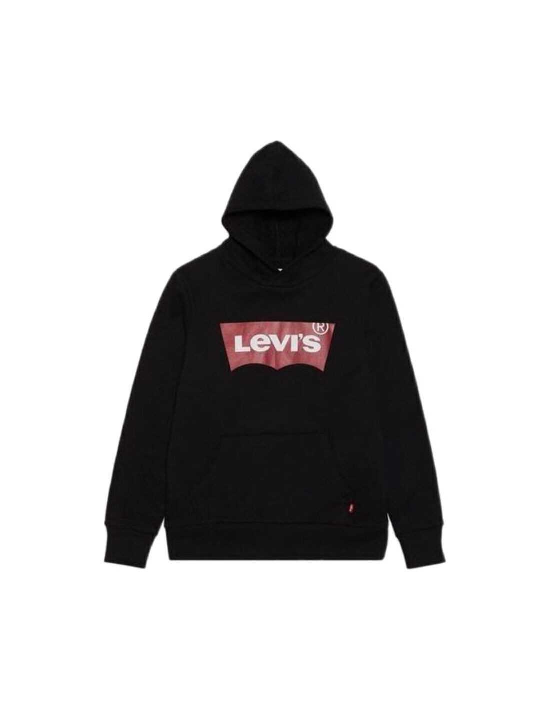 LVB-BATWING SCREENPRINT HOODIE