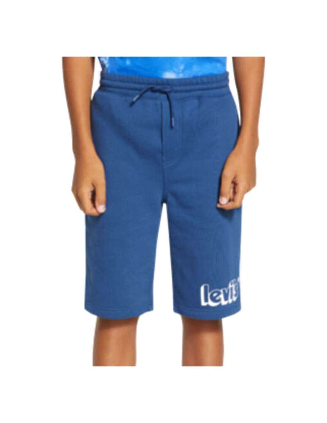 LVB GRAPHIC JOGGER SHORTS