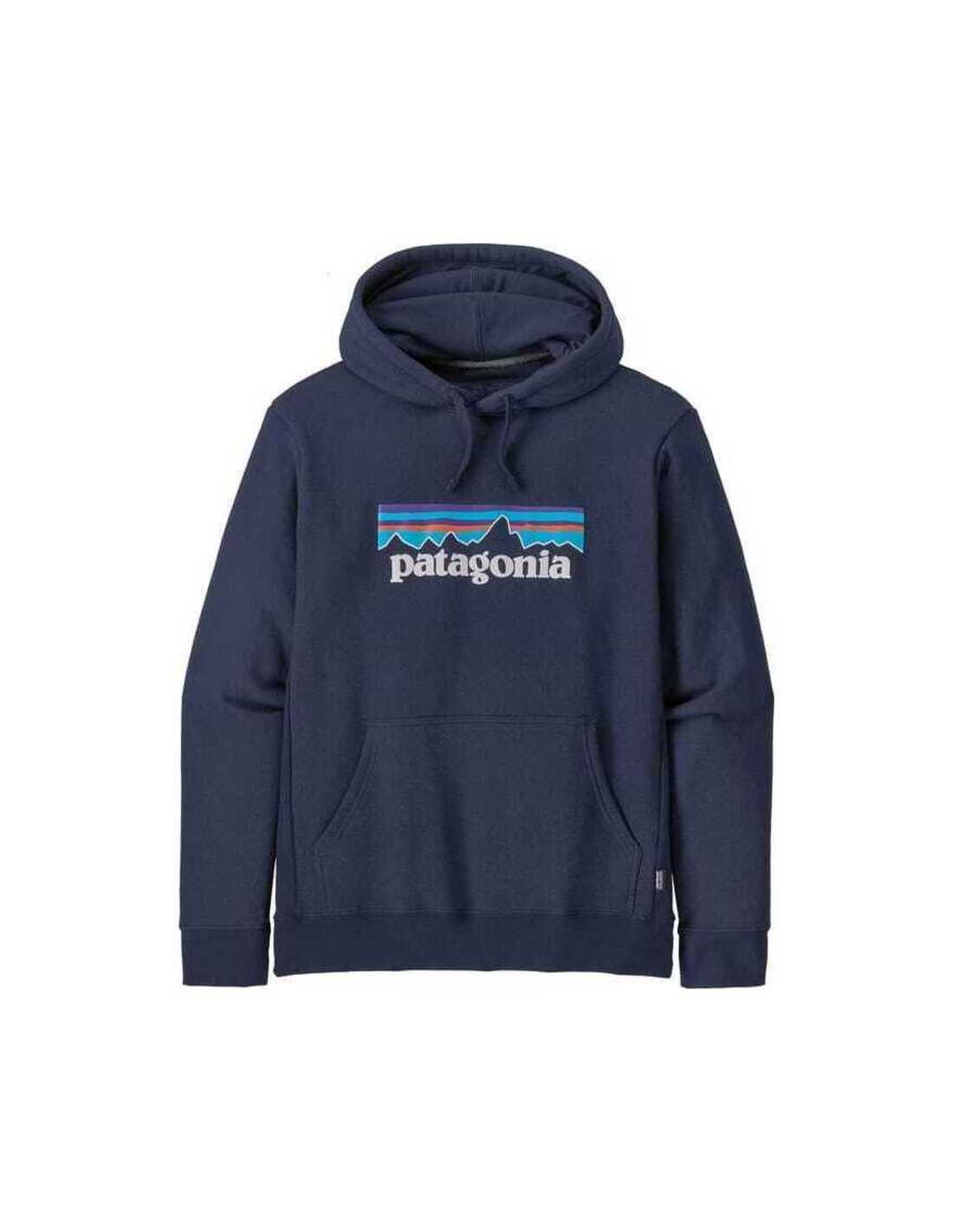 P-6 LOGO UPRISAL HOODY