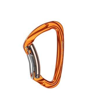 Twins carabiner 2024 and mountain