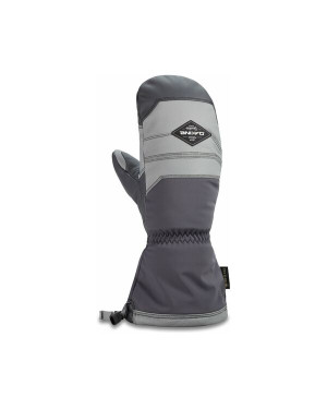 TEAM EXCURSION GORE-TEX MITT