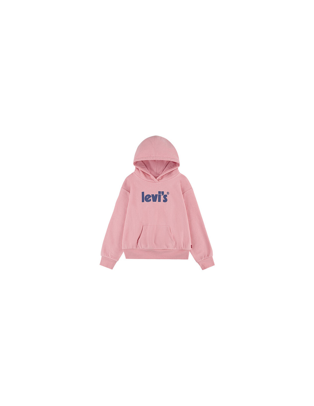 LVG POSTER LOGO HOODIE