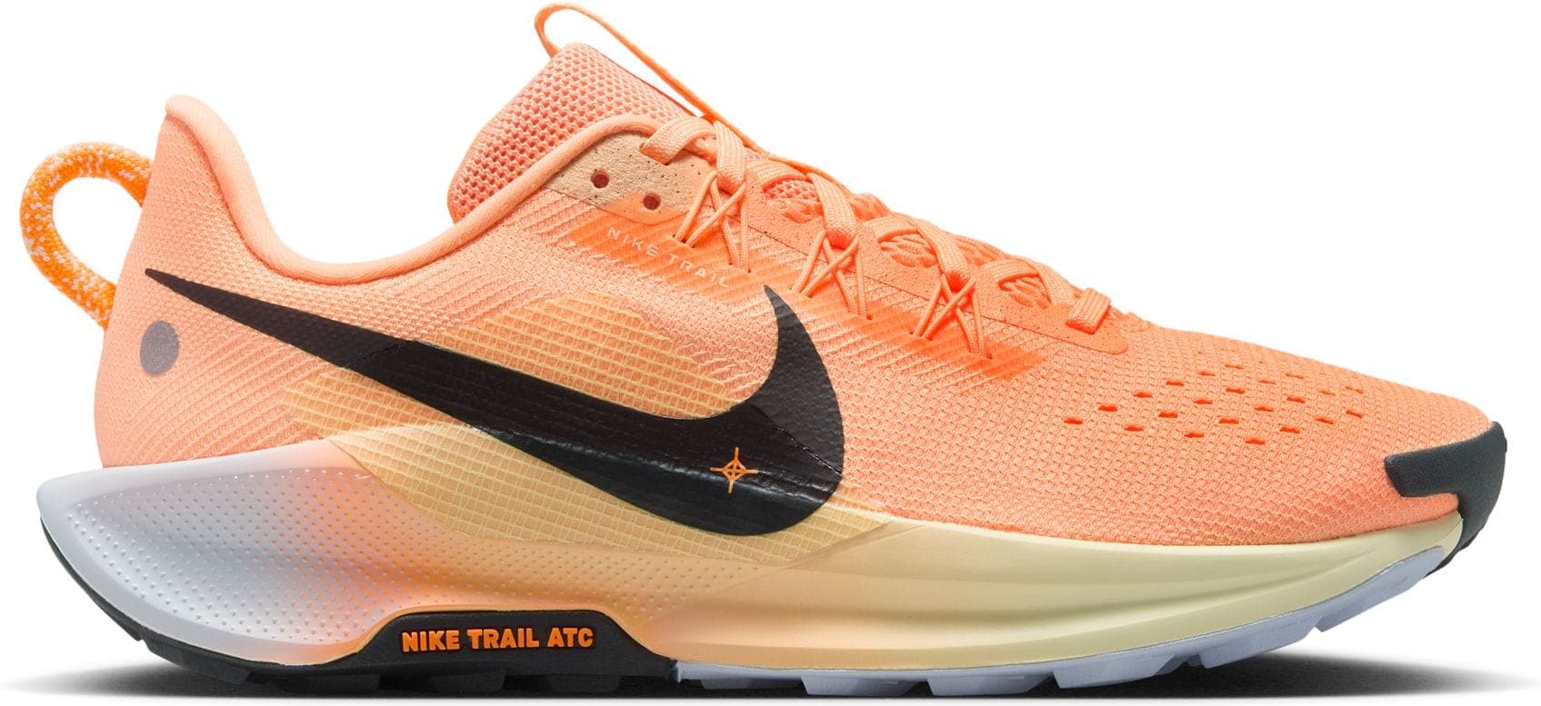 Sneaker NIKE PEGASUS TRAIL 5