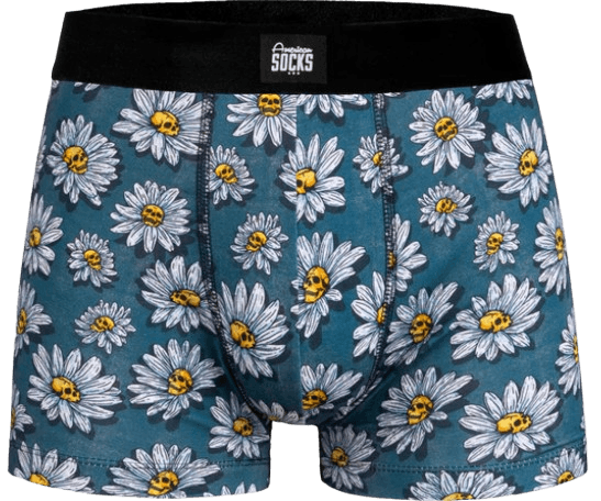Slip AMERICAN SOCKS DAISIES