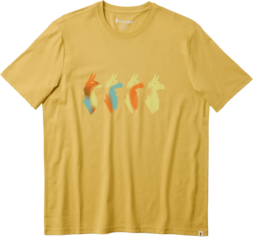 T-Shirt COTOPAXI M CUATRO BITMAP