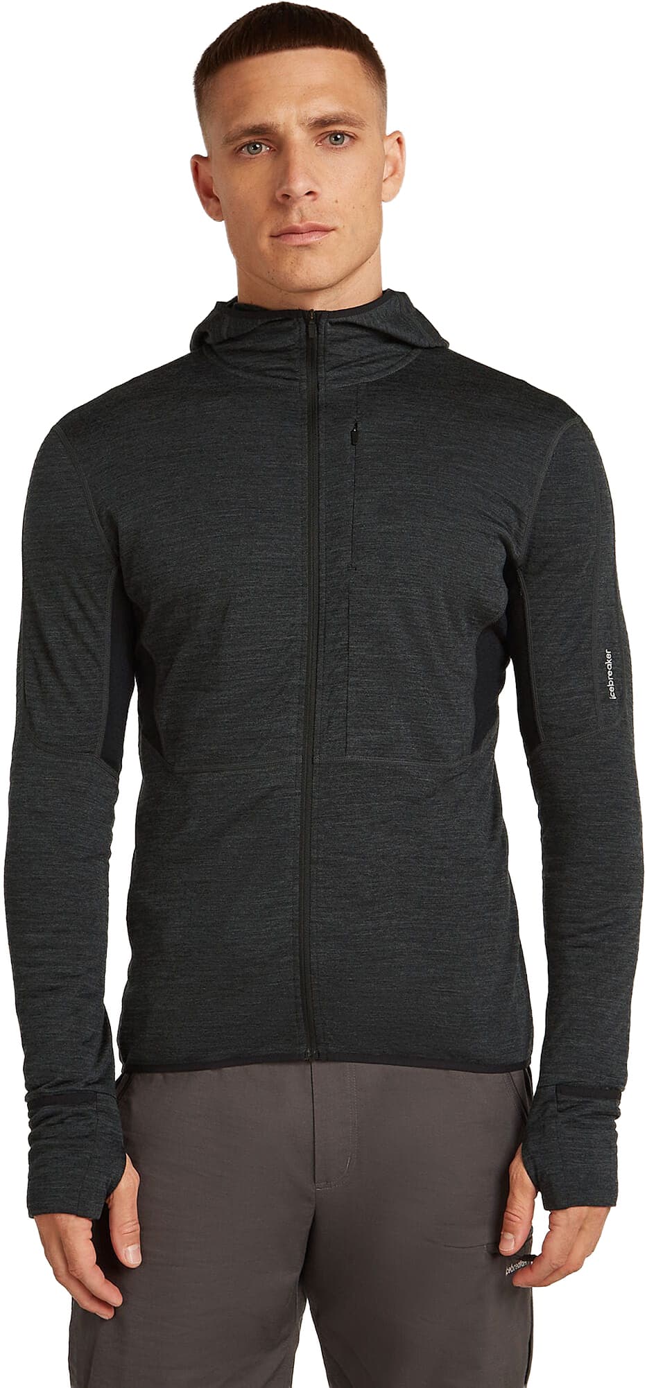 Veste Polaire ICEBREAKER M MER 200 REALFLEECE DESCENDER LS ZIP H