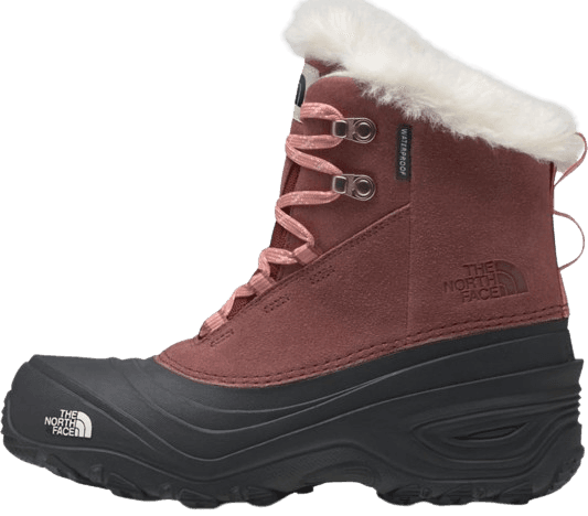 Botes THE NORTH FACE Y SHELLISTA V LACE WP