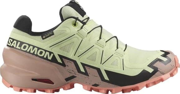 Sportschuhe SALOMON SPEEDCROSS 6 GTX W