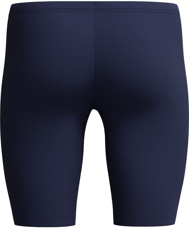 Swimsuit SPEEDO MEDLEY LOGO JAM