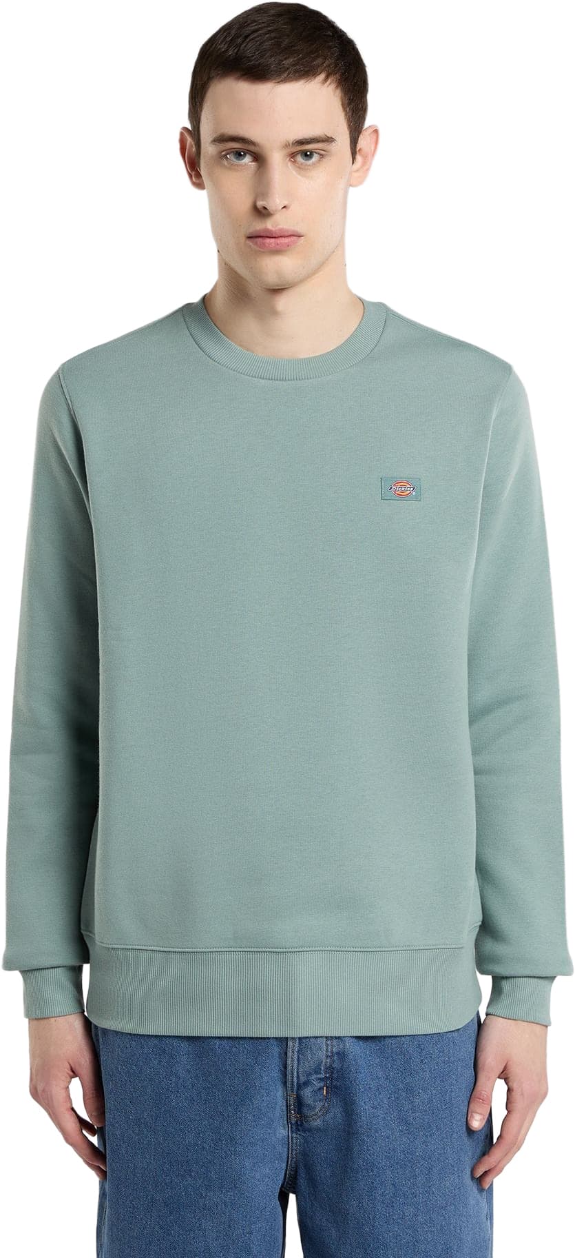 Sudadera DICKIES OAKPORT SWEATSHIRT