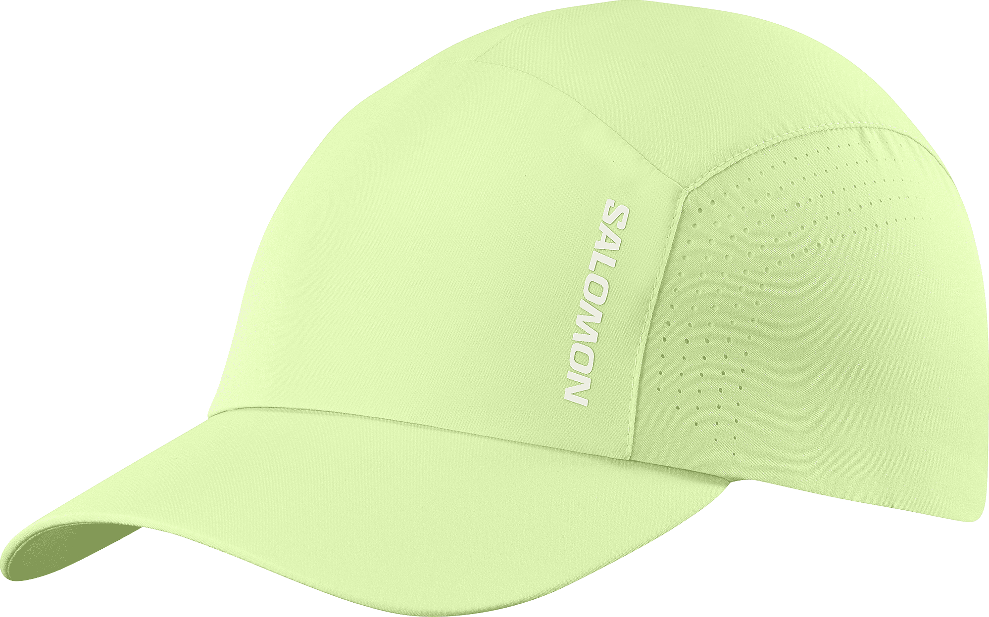 Gorra SALOMON SHAKEOUT CAP U