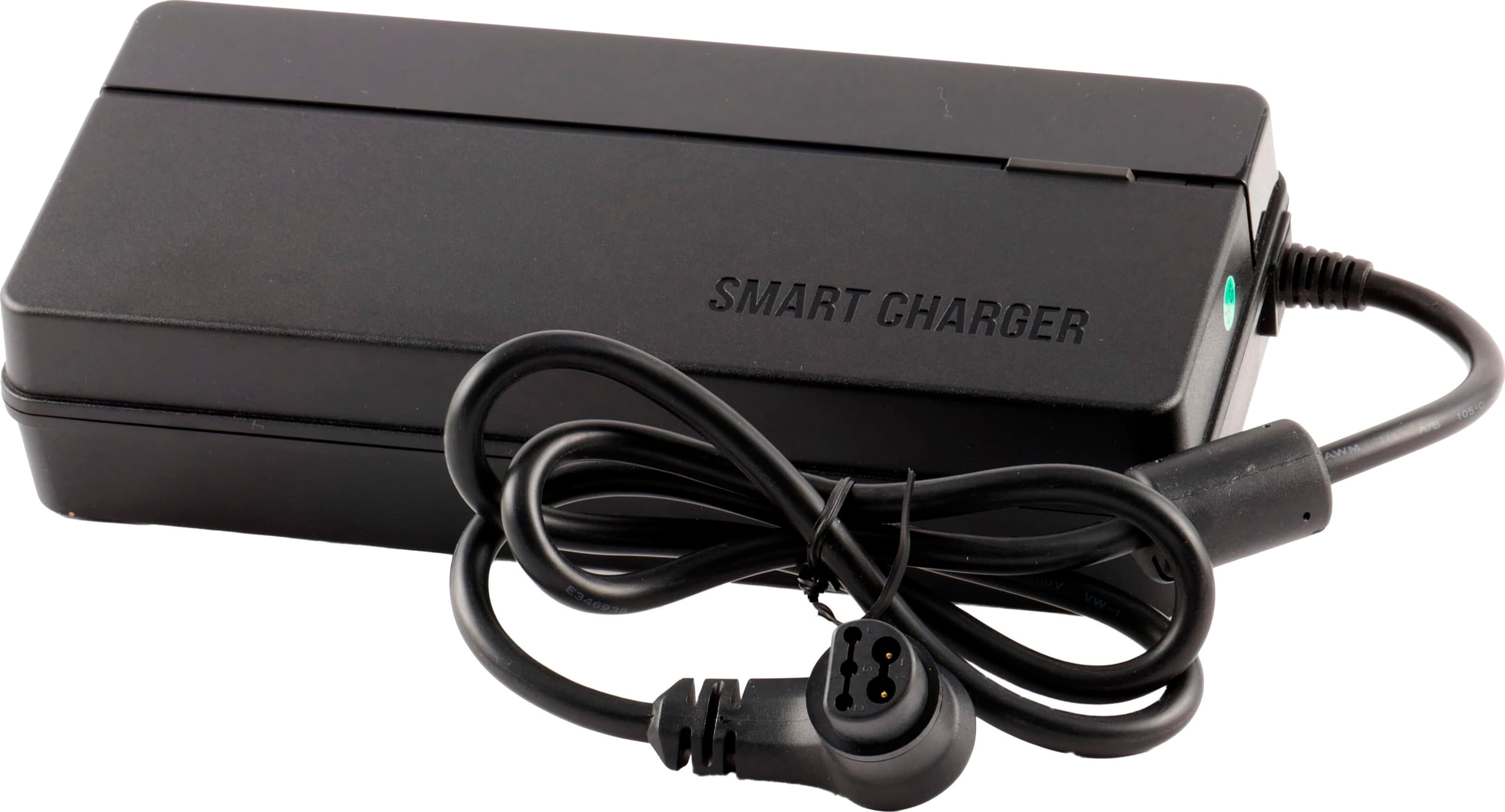 Accesorio y Recambio GIANT SMART CHARGER 100~240V L-TYPE EU 6A