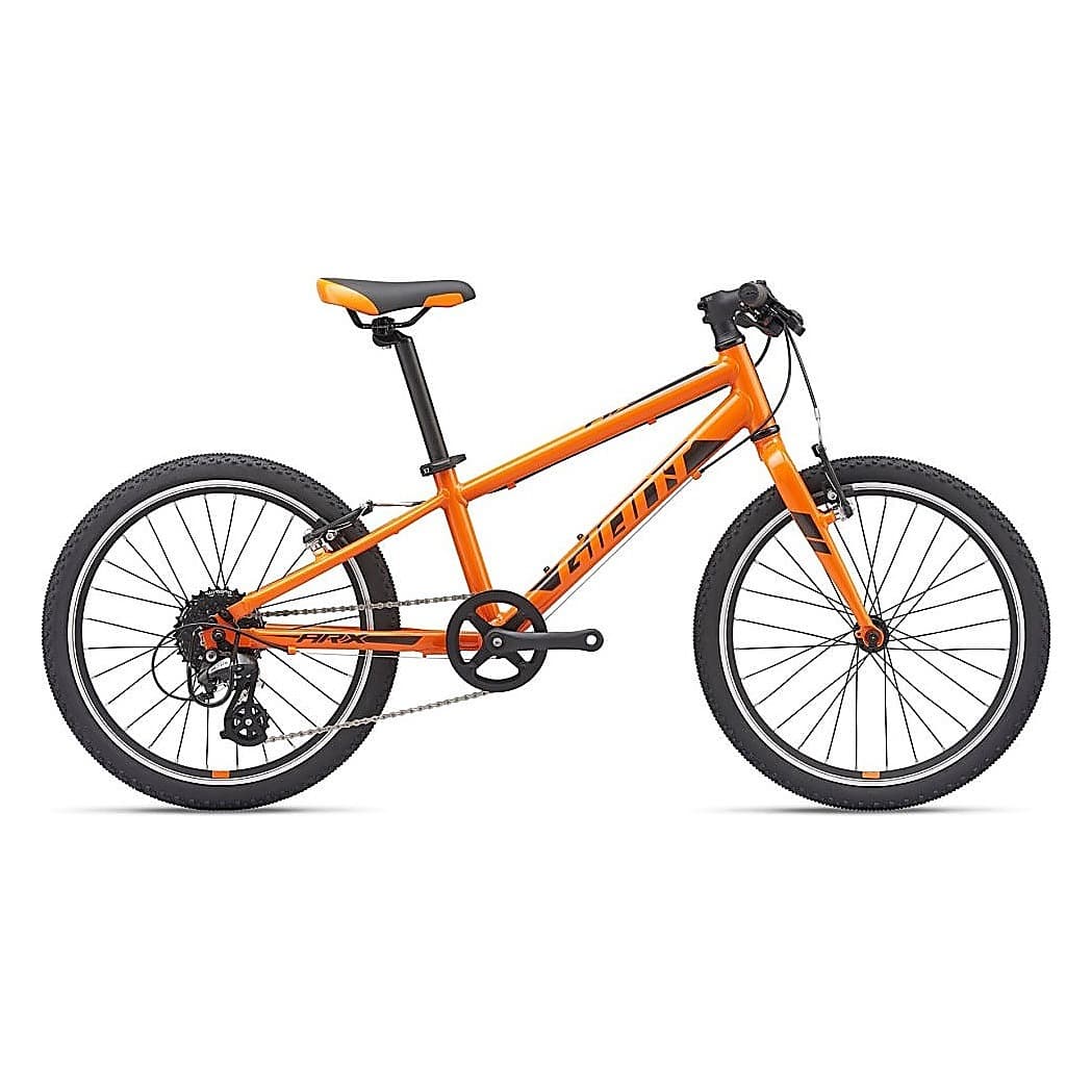 Bicicleta GIANT ARX 20
