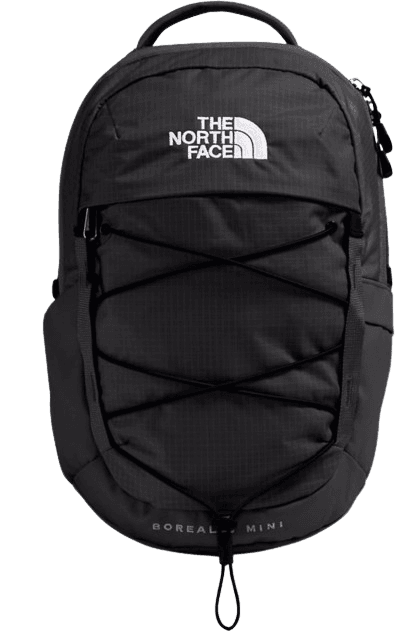 Motxilla THE NORTH FACE BOREALIS MINI BACKPACK