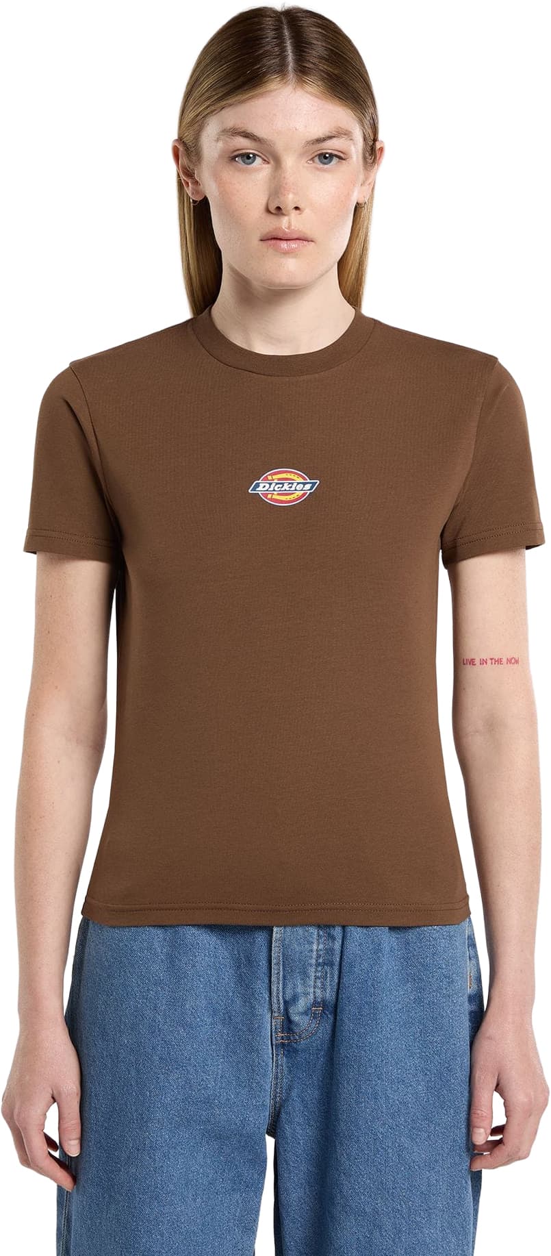 Camiseta DICKIES MAPLE VALLEY REG TEE W