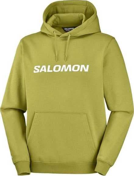 Felpa SALOMON SALOMON HOODIE M-CARDAMON SEED