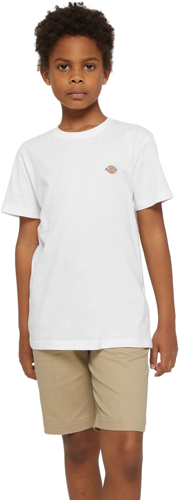 T-shirt DICKIES YOUTH MAPLETON TEE