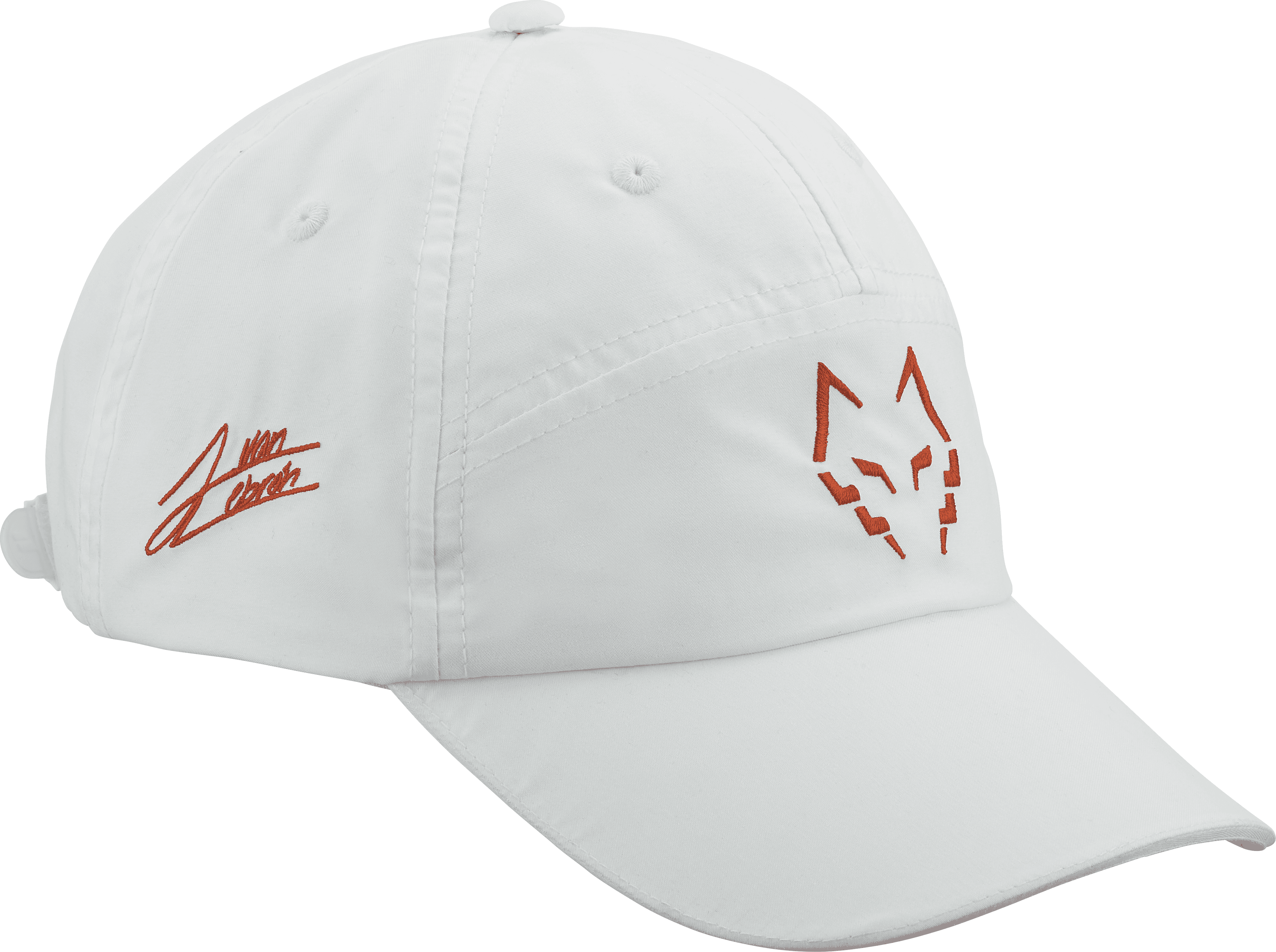 Cappello BABOLAT PERF CAP LEBRON