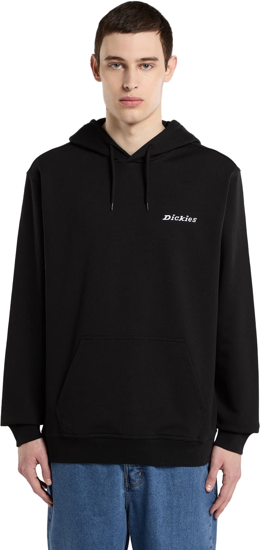 Sudadera DICKIES LORETTO HOODIE