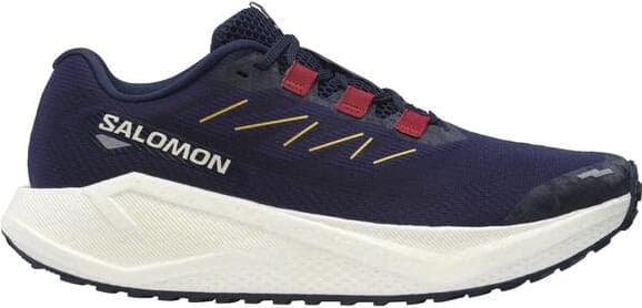 Sneaker SALOMON AERO BLAZE 3 GRVL