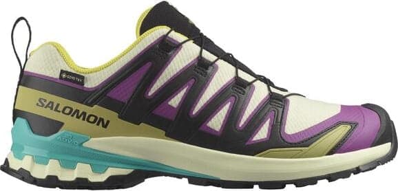Zapatillas SALOMON XA PRO 3D V9 GTX