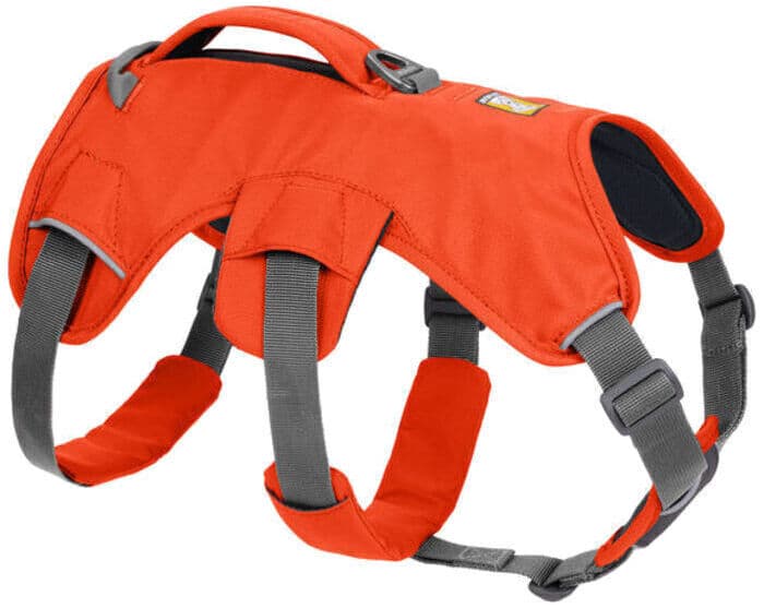 BLAZE ORANGE