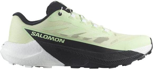 Chaussures SALOMON PULSAR W