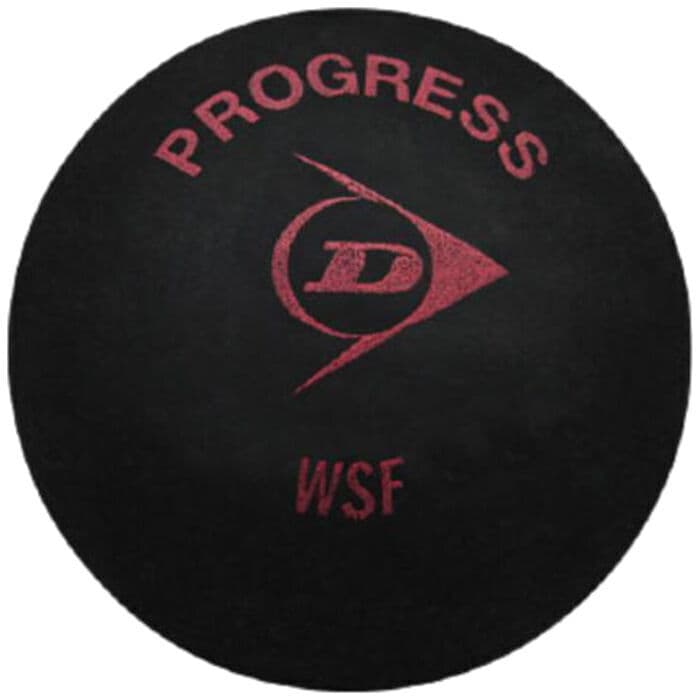 Ball DUNLOP PROGRESS