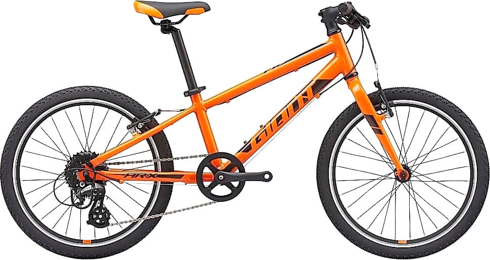 Bicycle GIANT ARX 20