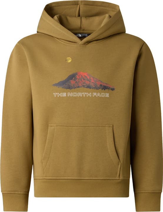 Sudadera THE NORTH FACE B MOUNTAIN NIGHT RELAXED HOODIE