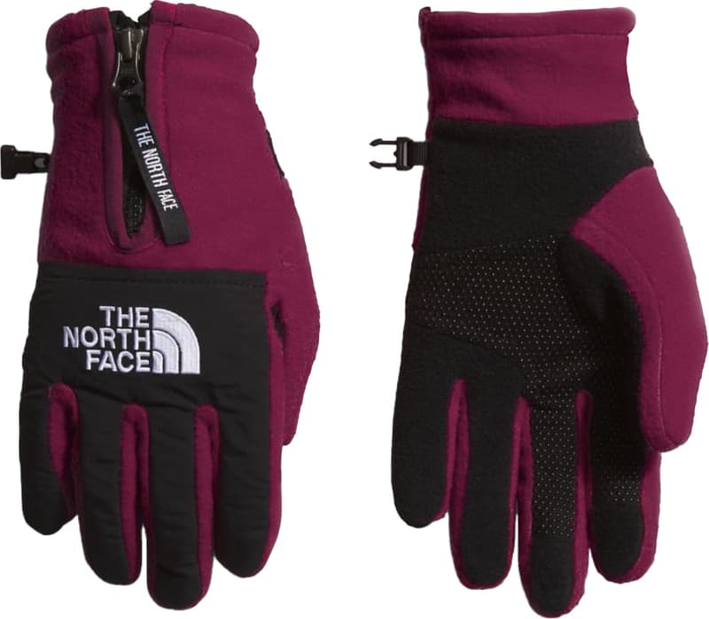 Guants THE NORTH FACE DENALI ETIP GLOVE