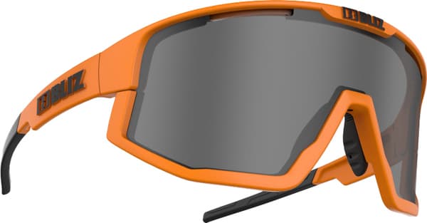 Gafas BLIZ VISION